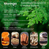 PAYAOCZ Moringa Leaf Extract Liquid Supplement packaging