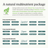 PAYAOCZ Moringa Leaf Extract Liquid Supplement with turmeric ingredients