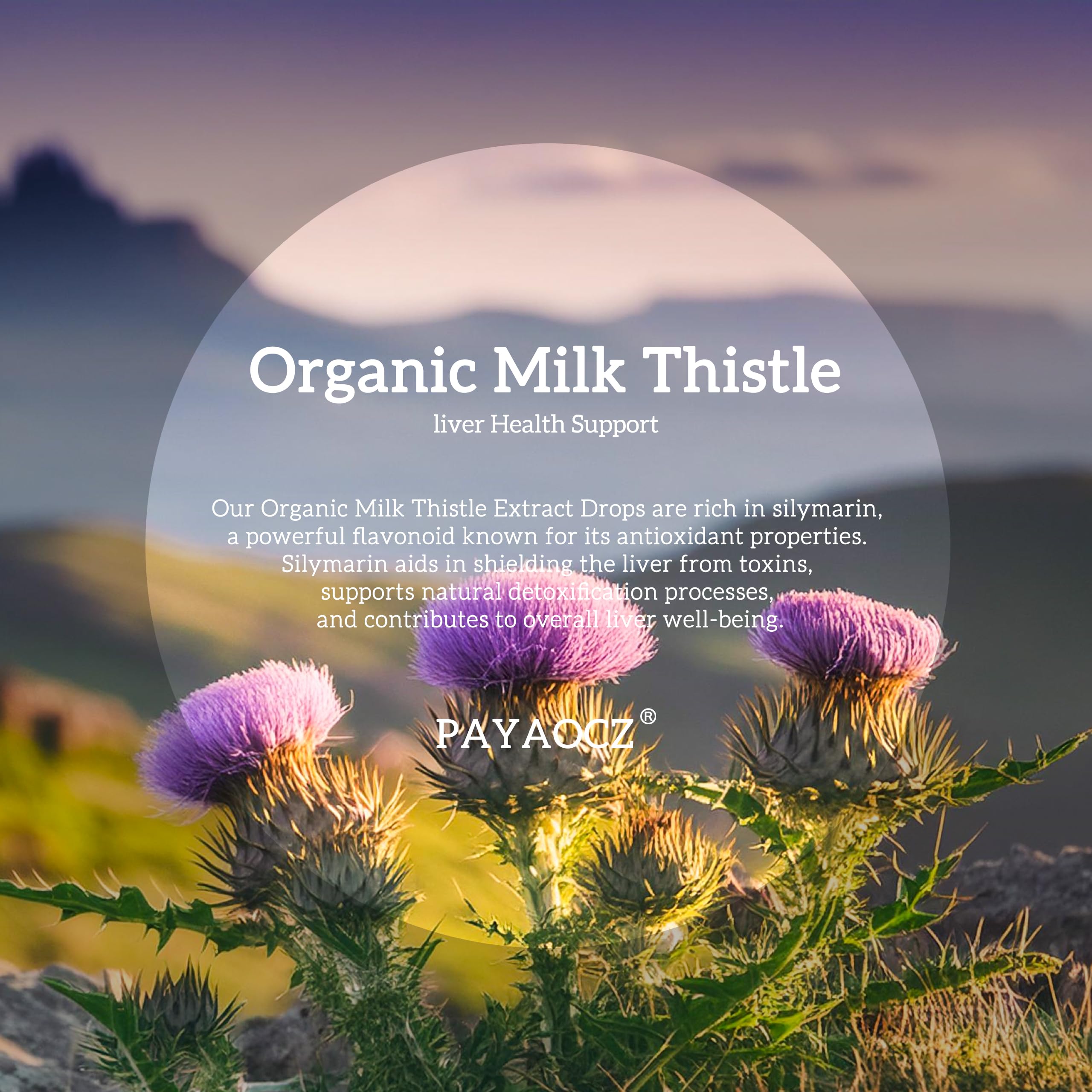 PAYAOCZ Organic Milk Thistle Extract Drops bottle with dropper