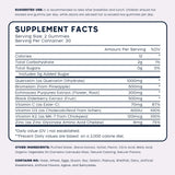 PAYAOCZ Organic Quercetin Gummies Blueberry gummies close-up