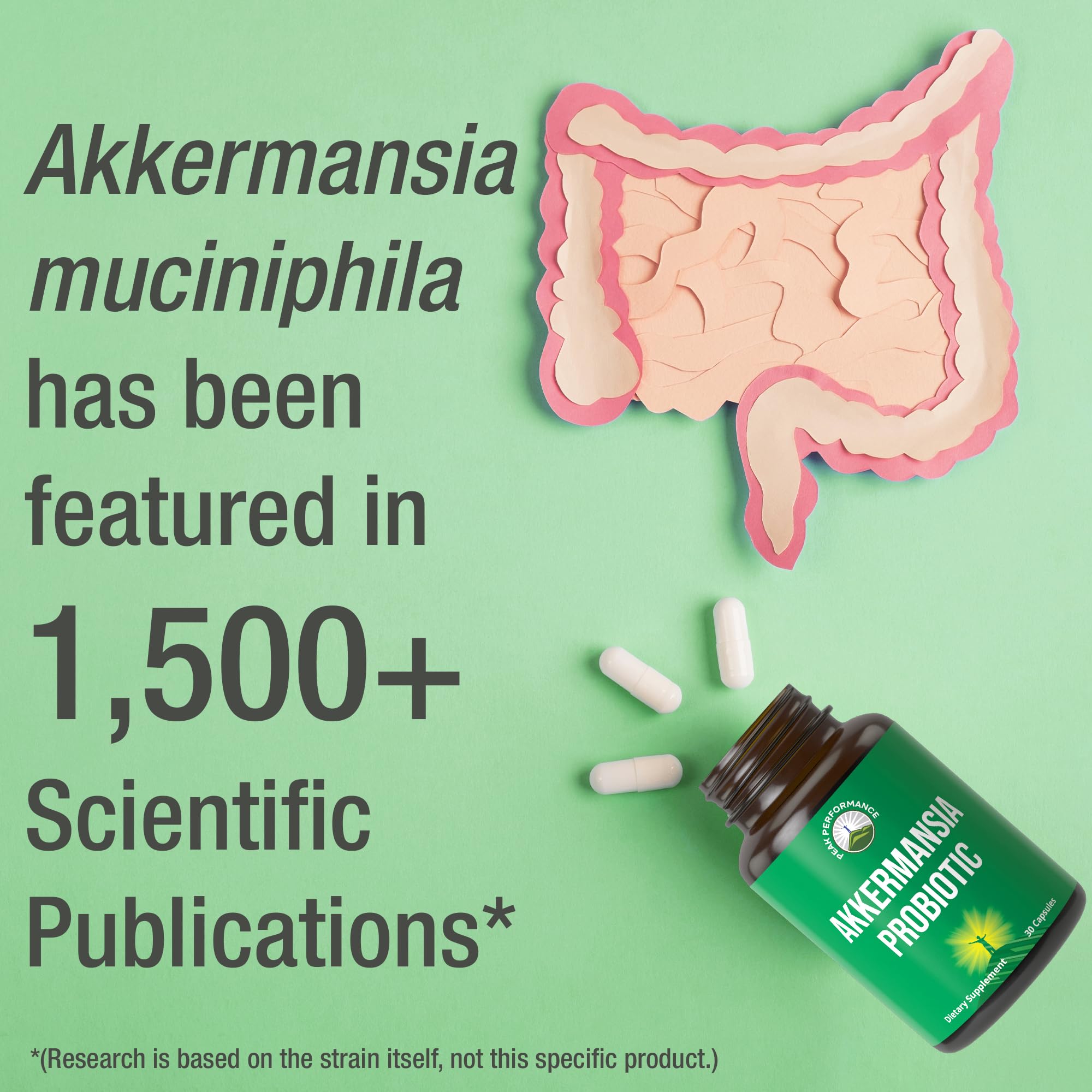 Peak Performance Akkermansia Probiotic 200M AFU ingredients list