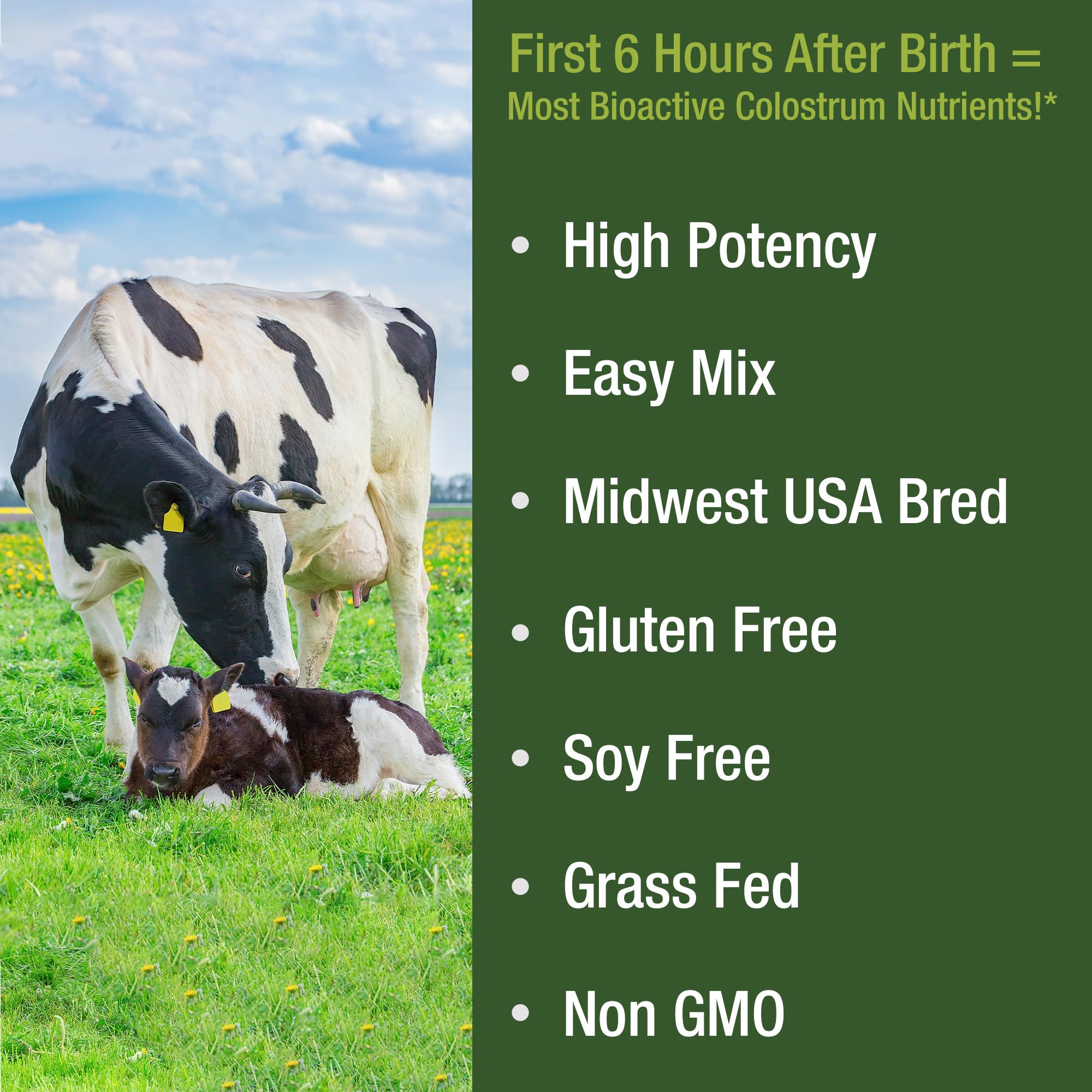 Peak Performance First Milking Colostrum Powder scoop and powder