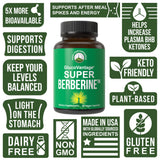 Peak Performance GlucoVantage Super Berberine 200mg capsules packaging