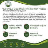 Peak Performance Licorice Root Extract Tincture packaging