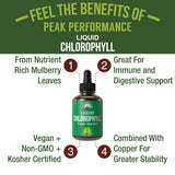 Peak Performance Liquid Chlorophyll 82g bottle side view