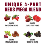 Peak Performance Organic Red Superfood Powder with fruits and vegetables