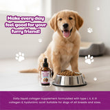 Peak Pets Liquid Collagen for Dogs 240g on a table
