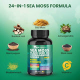 Peakhealth Shilajit & Sea Moss Supplement ingredients list