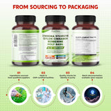 PEAKPURY Gymnema Sylvestre Supplement with other herbal supplements