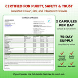 PEAKPURY Moringa Turmeric Supplement Capsules in a hand