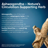 PENIKOSETE Punarnava Ayurvedic Leg Wellness cream application on legs