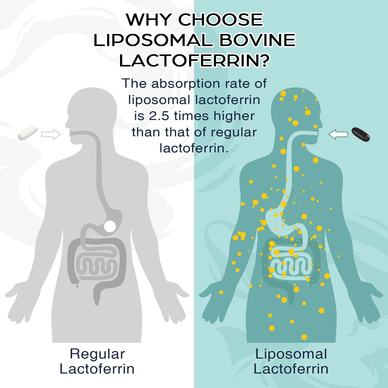 Pepeior Liposomal Lactoferrin Softgels 1000mg with measuring spoon