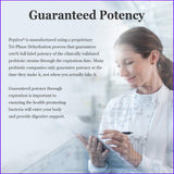 Peptiva Probiotic Supplement ingredients list