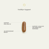 Perelel Fertility Support ingredient list on the back of the packaging