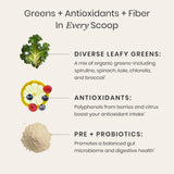 Perelel Synbiotic Greens Powder 222g nutritional information close-up