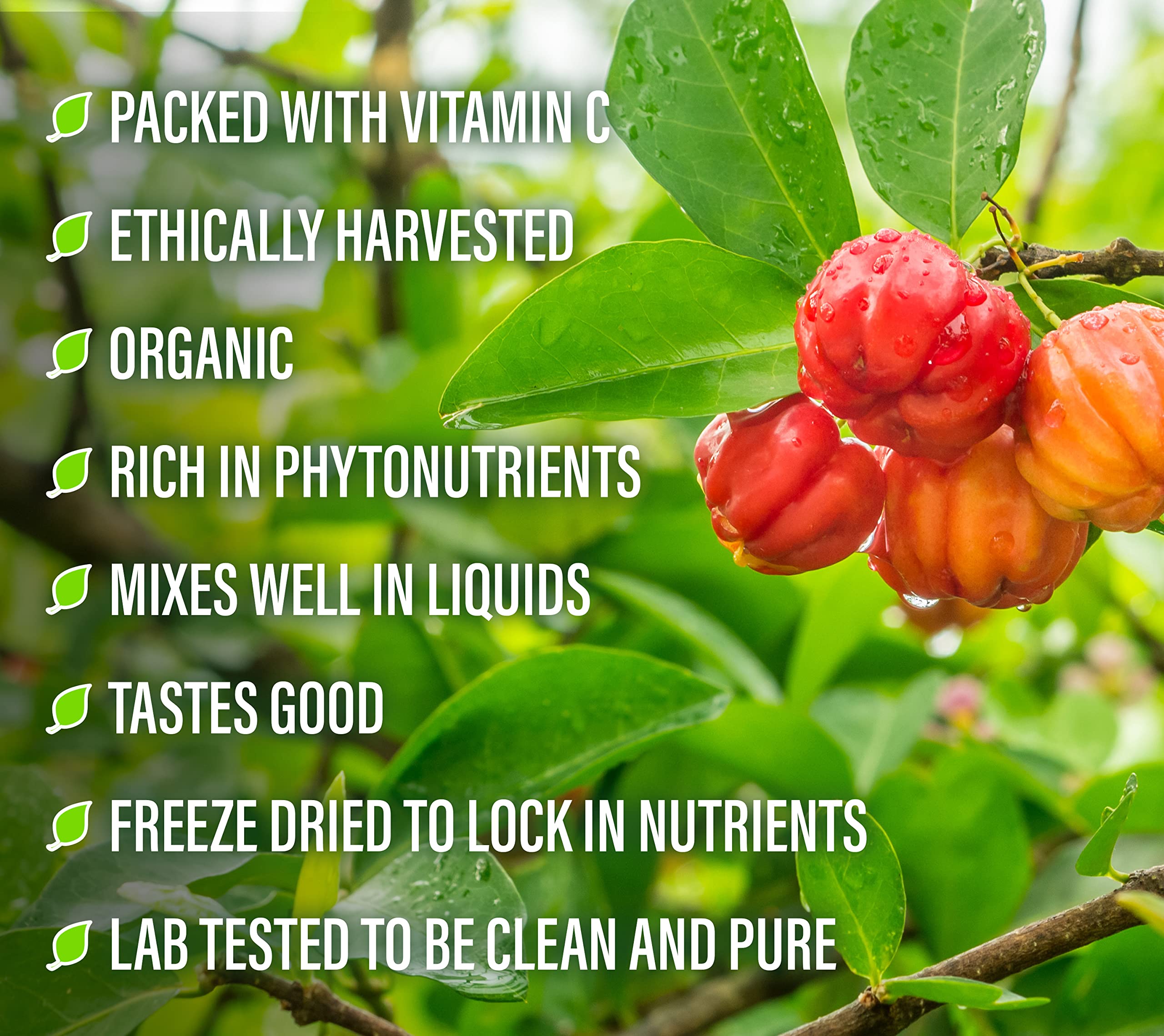 Perfect Supplements Acerola Cherry Powder nutritional information