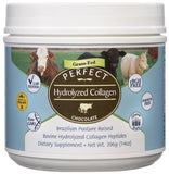 Perfect Supplements Hydrolyzed Collagen Powder 499g front view