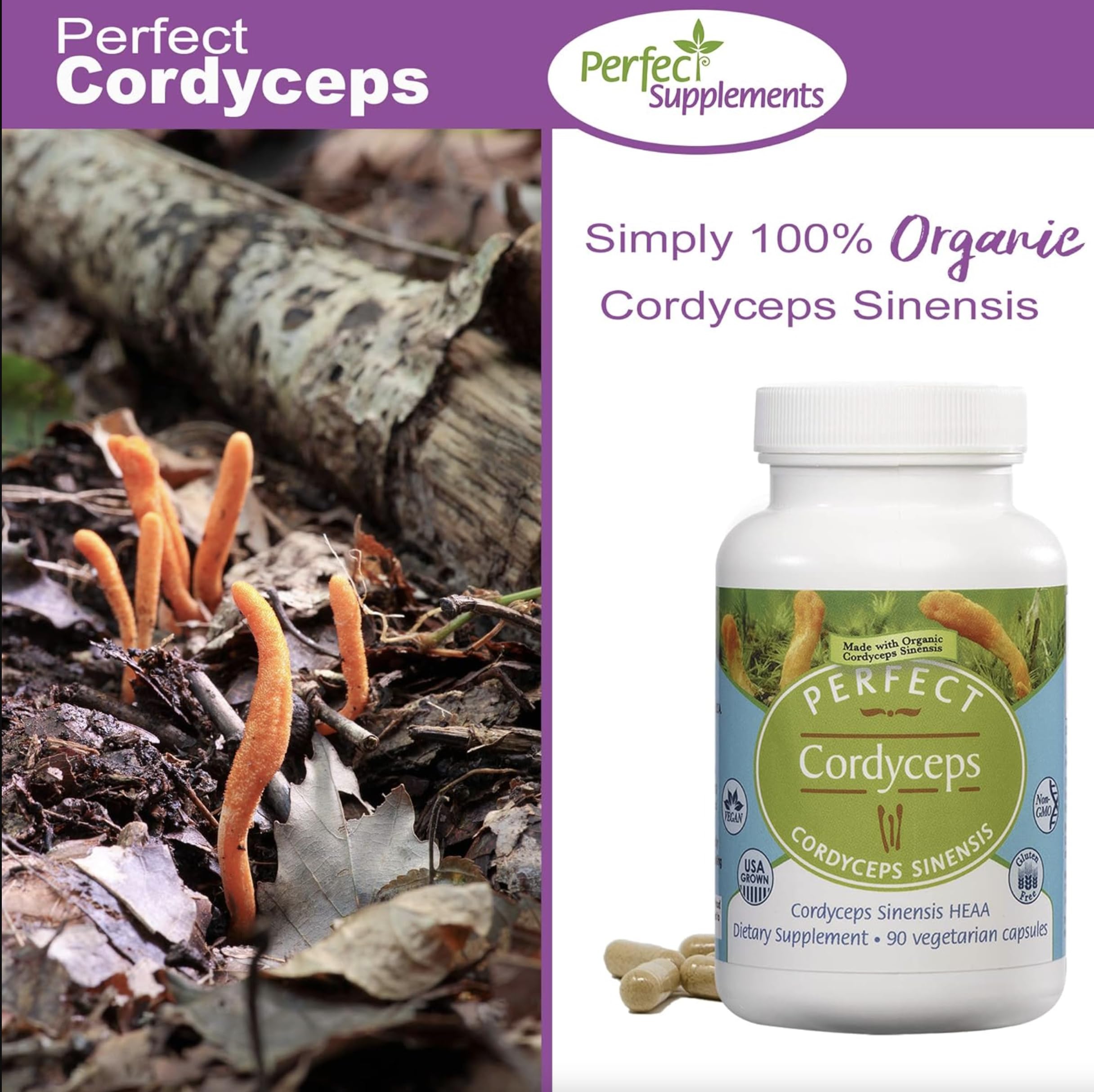 Perfect Supplements Organic Cordyceps 1100mg capsules label close-up