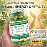 Perfectly Natural Herbs Organic Moringa Powder back view with ingredient list