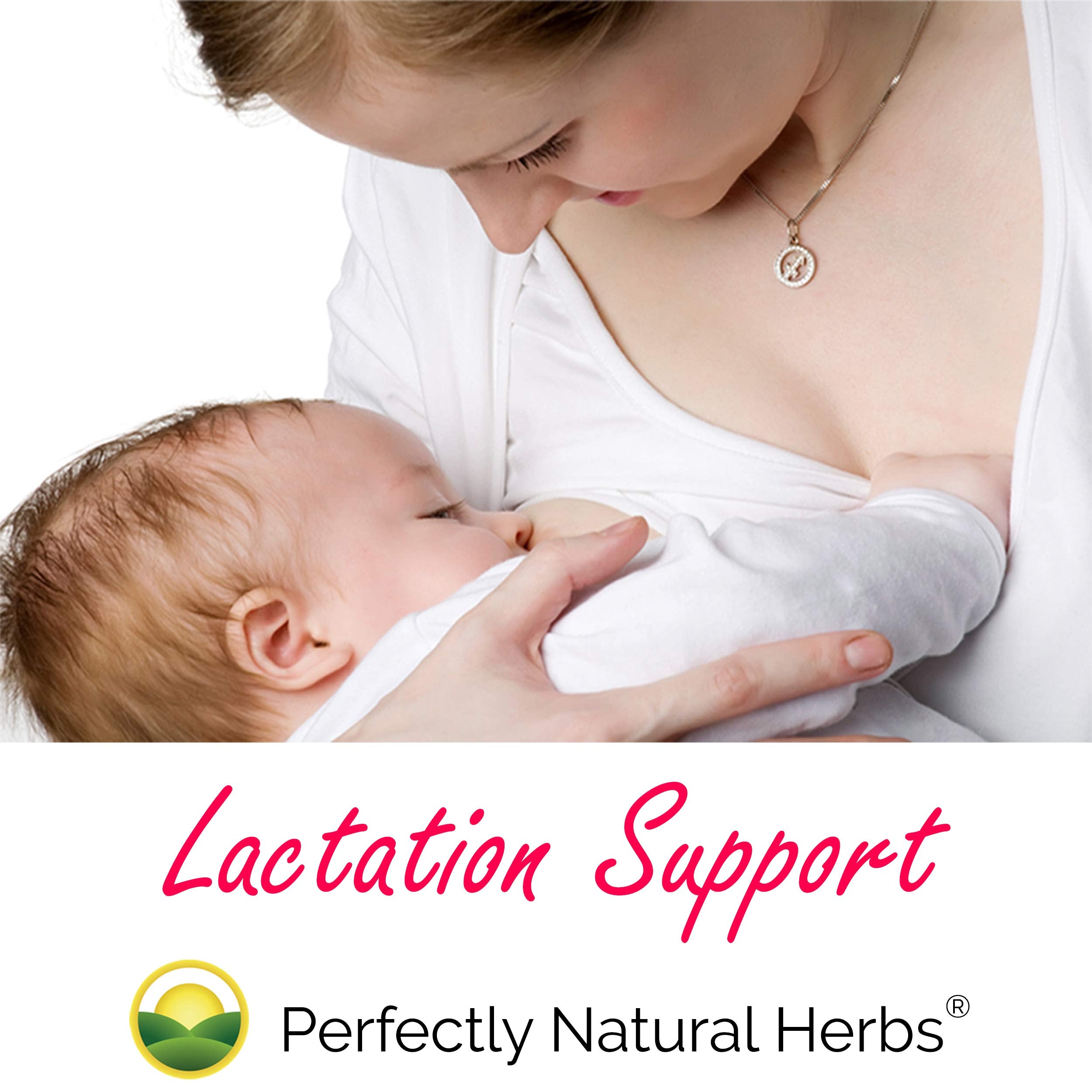 Perfectly Natural Herbs Organic Moringa Powder opened packaging