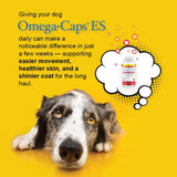Pet Health Solutions Omega-Caps capsules close-up