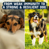 Pets Are Kids Too Mushroom Supplement for Dogs back view