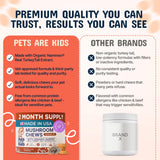 Pets Are Kids Too Mushroom Supplement for Dogs chewable format