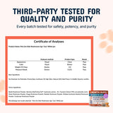 Pets Are Kids Too Mushroom Supplement for Dogs lifestyle scene with dog