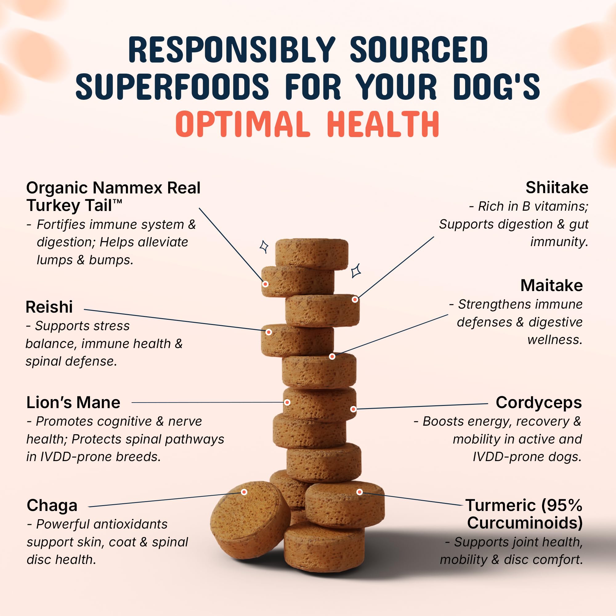 Pets Are Kids Too Mushroom Supplement for Dogs serving suggestion