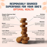 Pets Are Kids Too Mushroom Supplement for Dogs serving suggestion