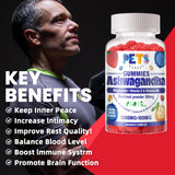Pets Purest Ashwagandha Gummies in hand for travel