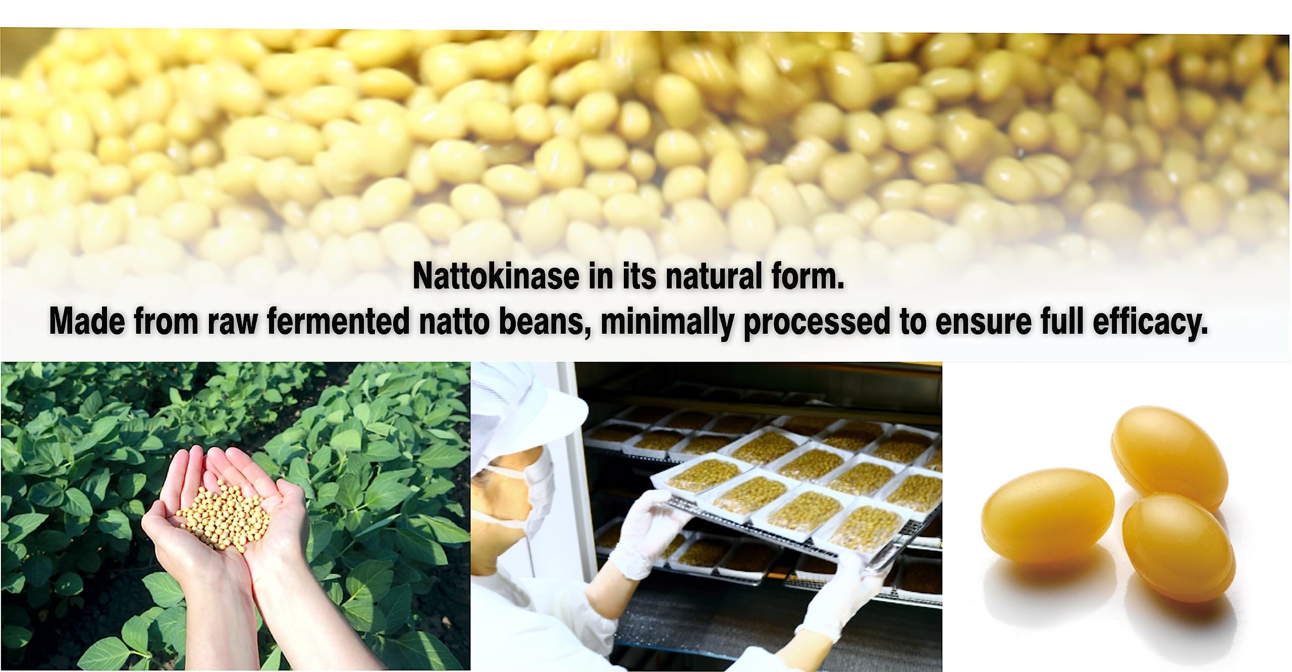 PHARMAKON Nattokinase Organic Fermented SoyBean Extract back view