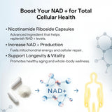 Pharmlitalia NAD+ Capsules with Resveratrol ingredients list