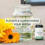 Philosophie Liquid Chlorophyll Drops 2oz nutritional information
