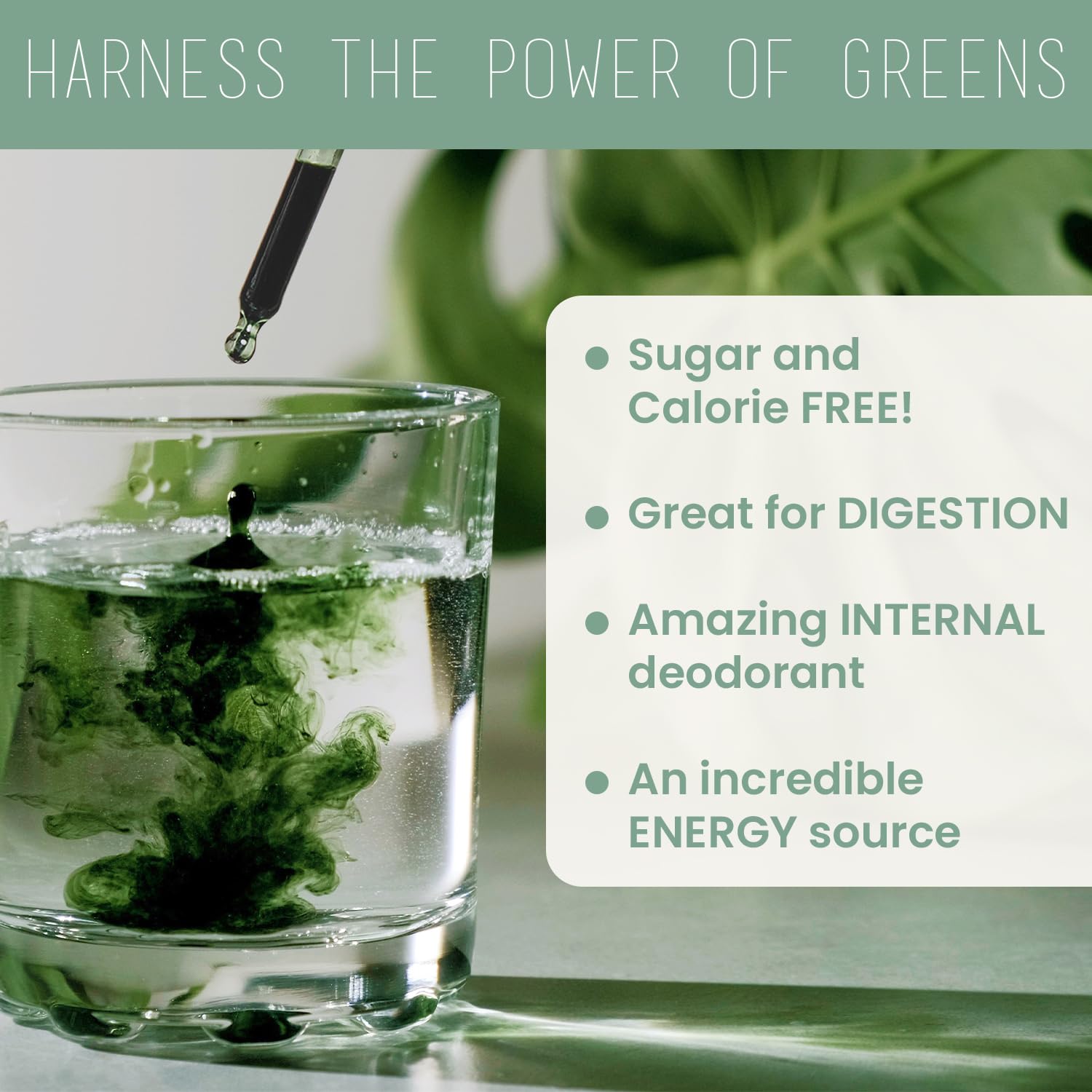 Philosophie Liquid Chlorophyll Drops 2oz with water