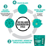 PhiNaturals Collagen Peptides Powder in a kitchen setting