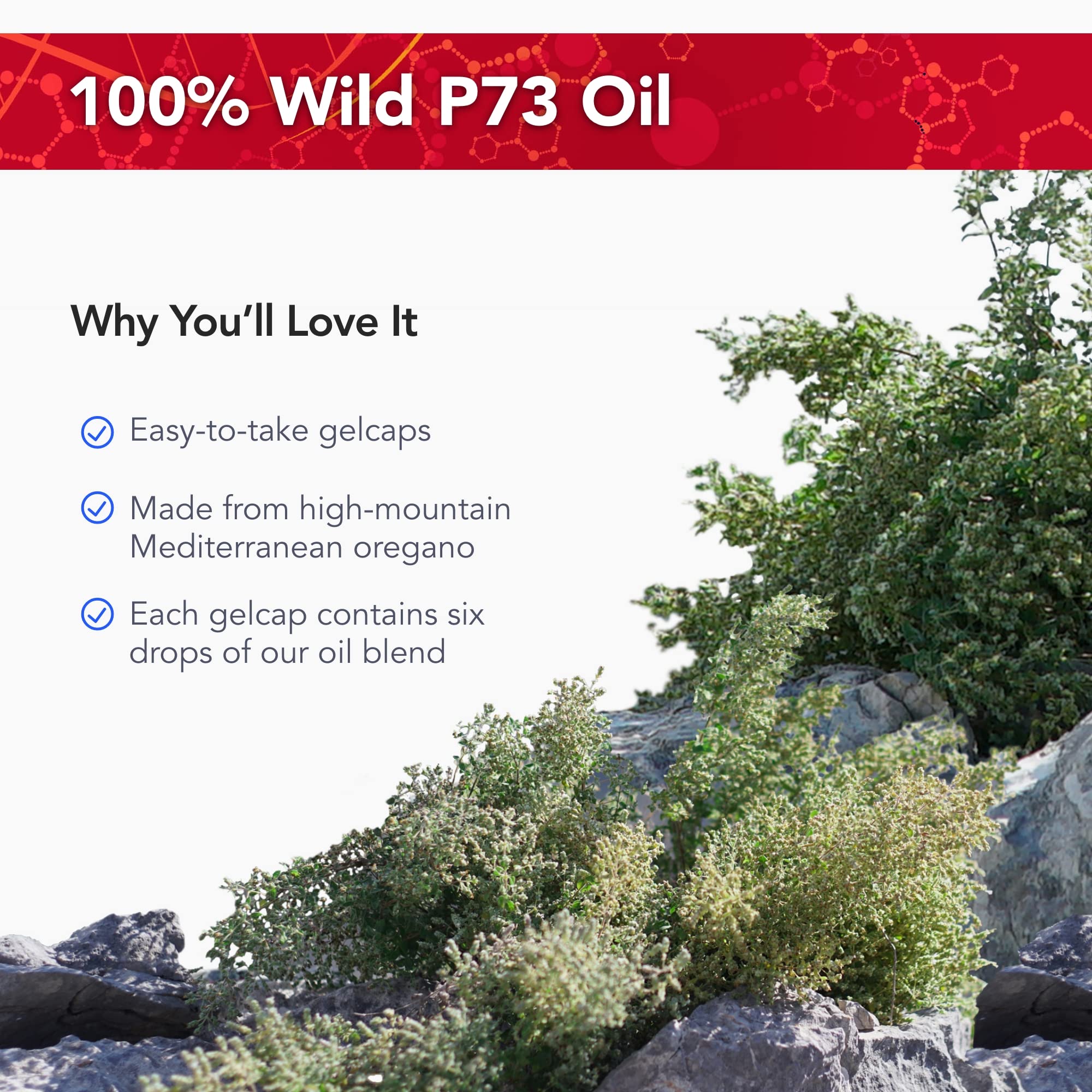 Physician's Strength Oregano Oil P73 packaging side view