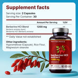 PHYTOCHOICE Berberine Supplement 1200mg bottle with capsules