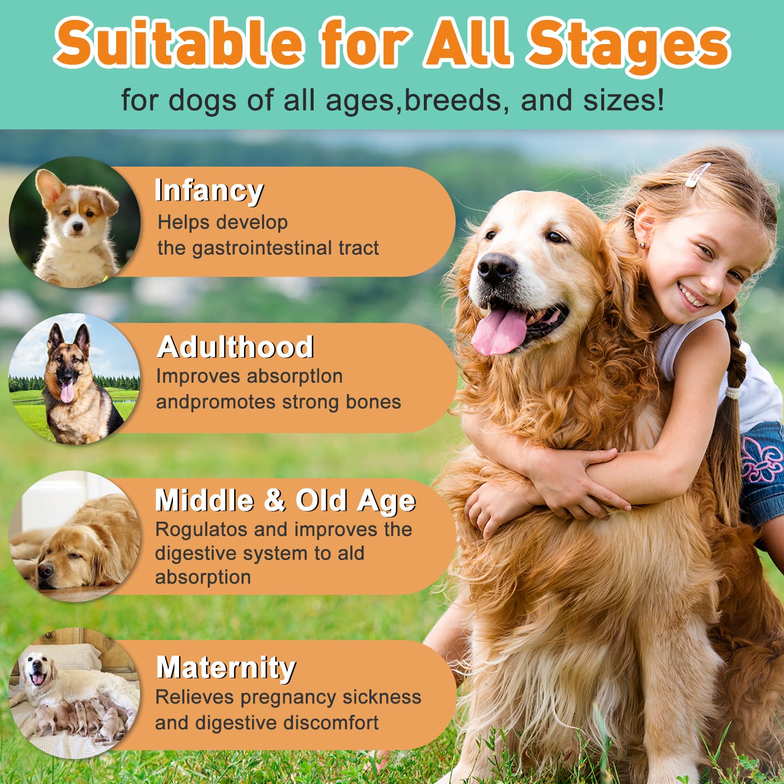 PICPOW Probiotic Powder for Dogs and Cats side view