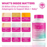Pink Stork Postpartum Probiotics capsule close-up