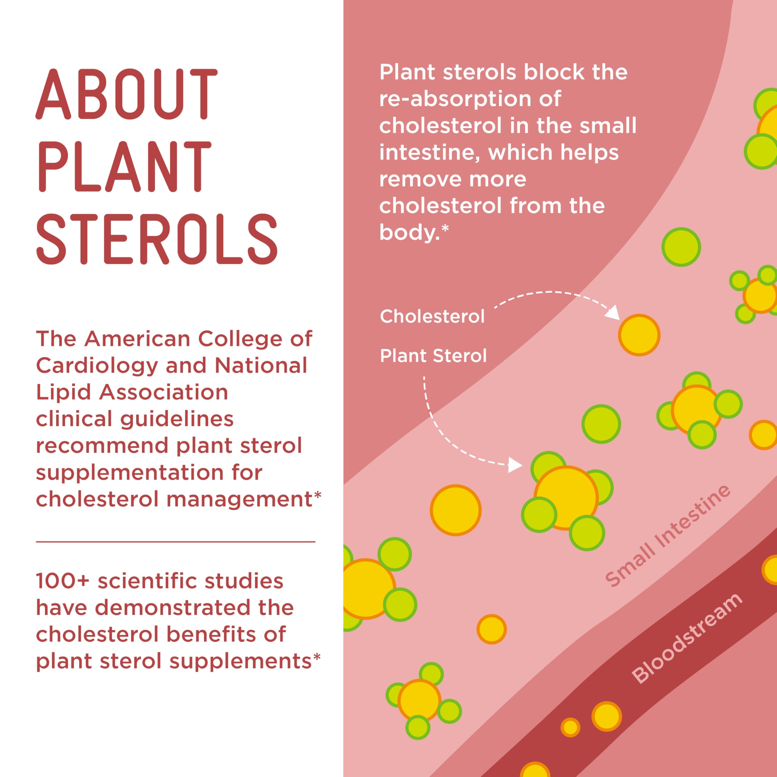 Piper Biosciences Plant Sterol Gummies back view of packaging