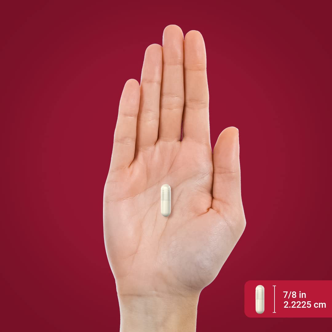 Piping Rock Acetyl-L-Carnitine 282g capsule close-up