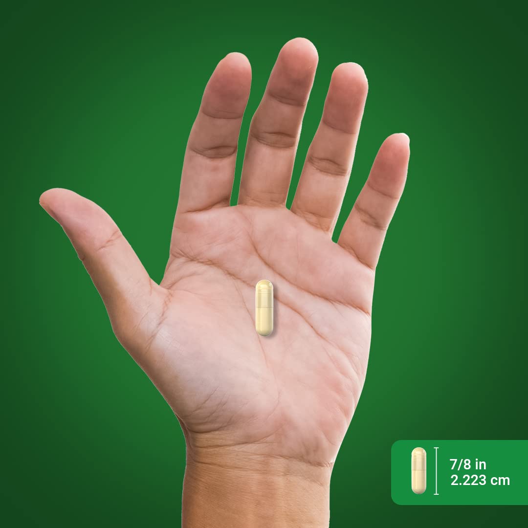 Piping Rock Artichoke Extract 155g Quick Release Capsules label close-up