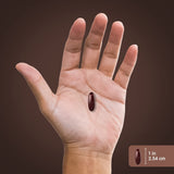 Piping Rock Black Seed Oil Cold Pressed Softgels in a hand