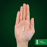 Piping Rock Cissus Quadrangularis capsules with a measuring spoon