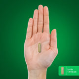 Piping Rock Super Concentrated Extract Capsules and ingredients list