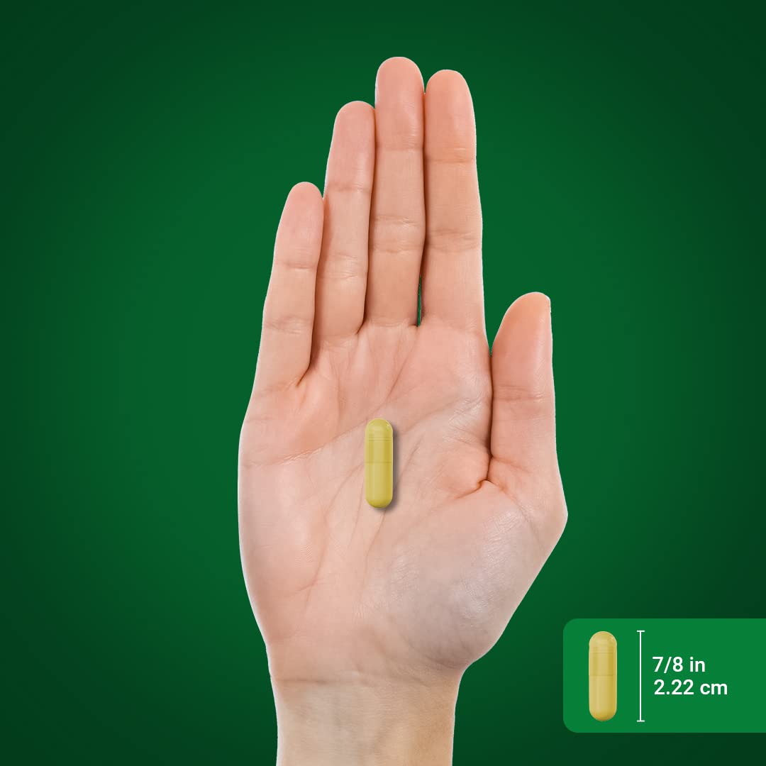Piping Rock Turmeric Capsules ingredients list