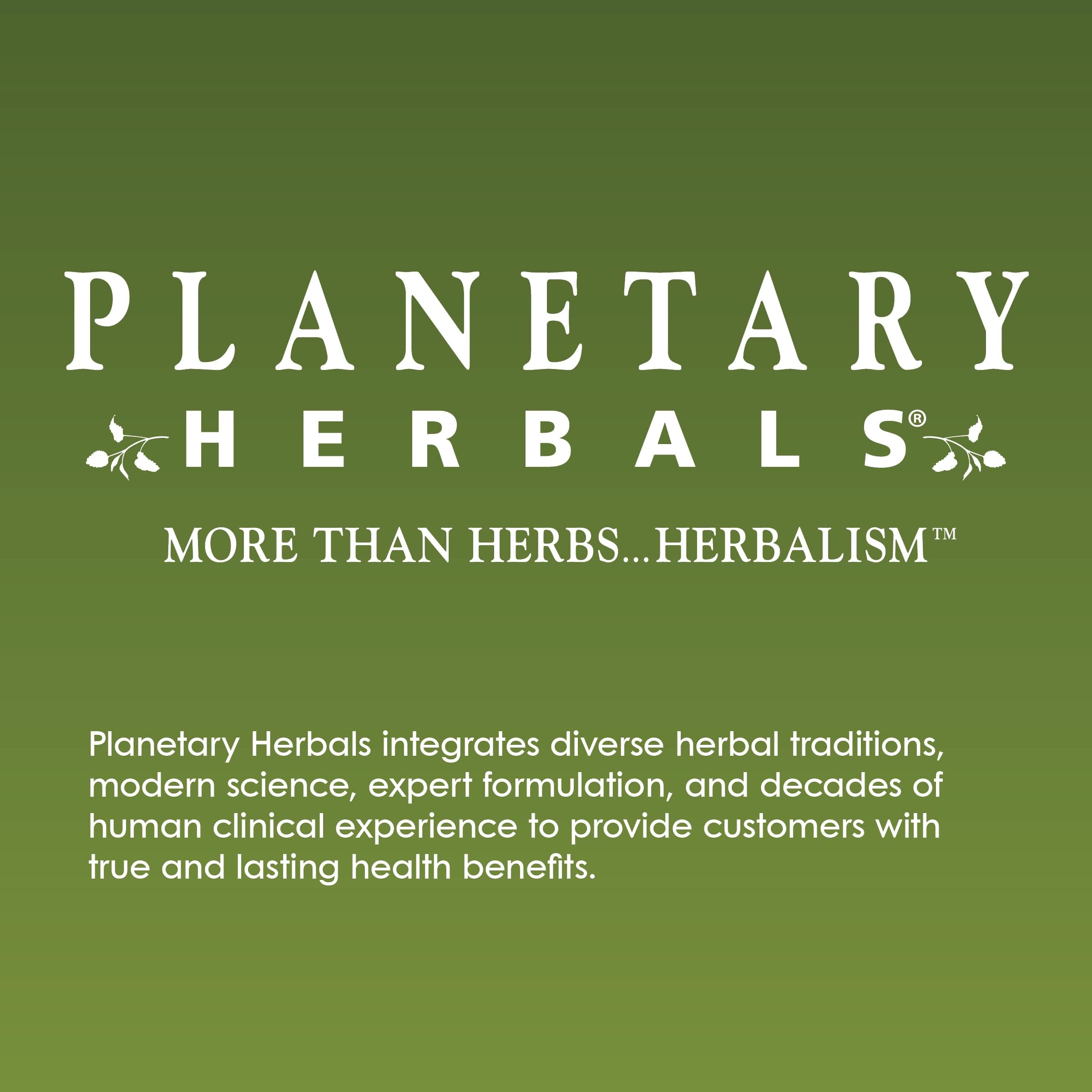 Planetary Herbals Triphala 500mg Herbal Supplement ingredients list