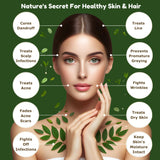 PLANT MAMA Pure Neem Oil 525g back view
