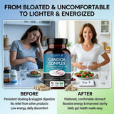 PLANT.O NUTRITION Candida Support Supplement 60 Capsules back view